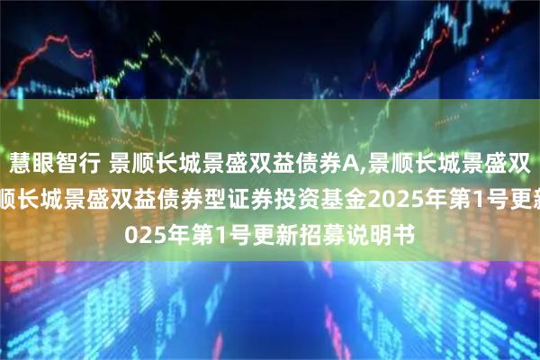 慧眼智行 景顺长城景盛双益债券A,景顺长城景盛双益债券C: 景顺长城景盛双益债券型证券投资基金2025年第1号更新招募说明书