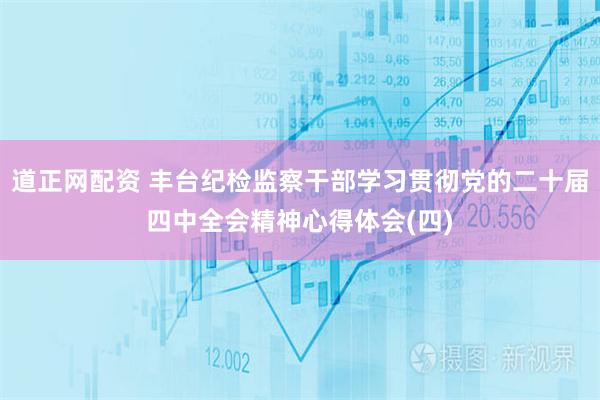 道正网配资 丰台纪检监察干部学习贯彻党的二十届四中全会精神心得体会(四)