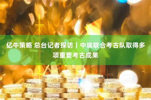 亿牛策略 总台记者探访丨中埃联合考古队取得多项重要考古成果